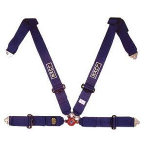 Luke 4 Point Caterham Harnesses